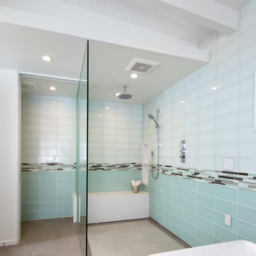 Master Bath / Shower and Toilet Compartment