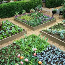 Garden and yards
