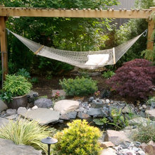 Landscape Ideas