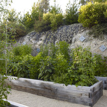 Veg Beds