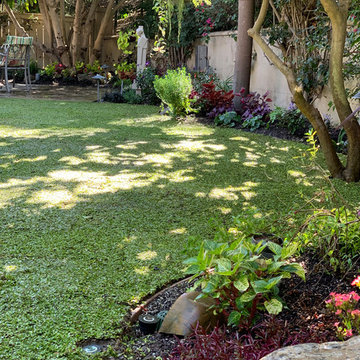Grass Alternatives