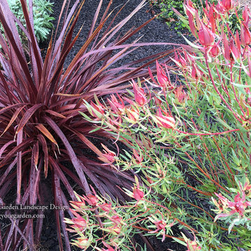 Plant Combinations - Northern California Gardens