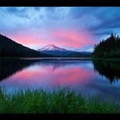 Marcella D. Wilcox's photo