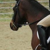 Sydney Schmidts foto
