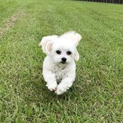 Sharon Chesson's photo
