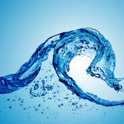 Nathan McDonald's photo