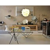 Thomas Storai's photo