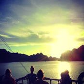 Rohan Fox's photo