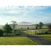 Dominion Farm's photo
