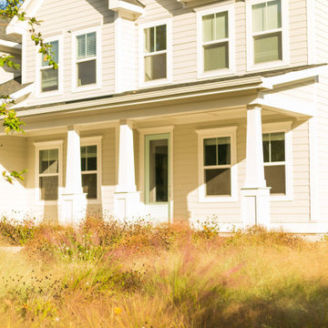 Modern Meadow Garden