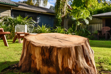 Smart Tree Removal Brisbane