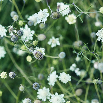 Houzz Tours - Maja Egelund