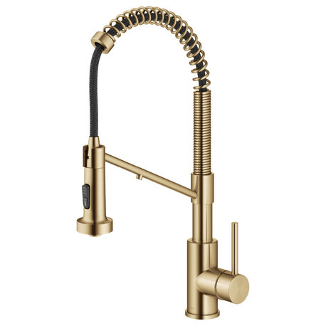Bolden Commercial Style 2-Function Pull-Down 1-Handle 1-Hole Kitchen Faucet, Brushed Brass (Filter Kitchen Faucet)