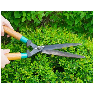 Lawn Care Maintenance By Seasons