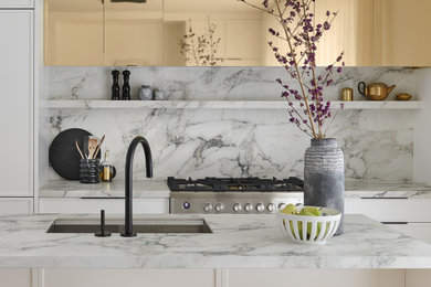 Inspiration for a transitional kitchen remodel in Toronto