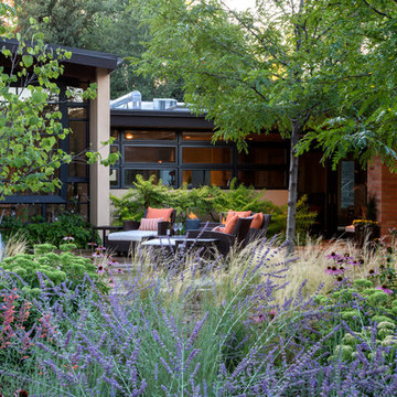 Modern Meadow and Patio