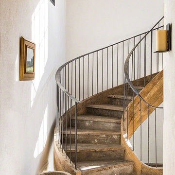 Silverleaf 3