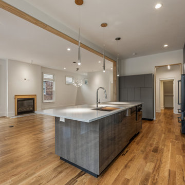 Contemporary Kitchen Midtown Atlanta
