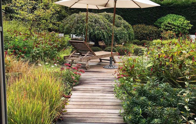 Yard of the Week: Plant-Filled, Spirit-Lifting Space for Relaxing