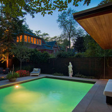 Aidan's Backyard