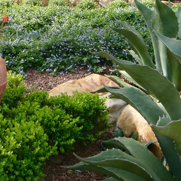 EUROPEAN FOOTHILL GARDEN