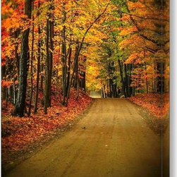 Canvas Fine Art Fall tunnel of trees - Products