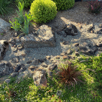 Penninsula Lawn Conversion to Modern Japanese