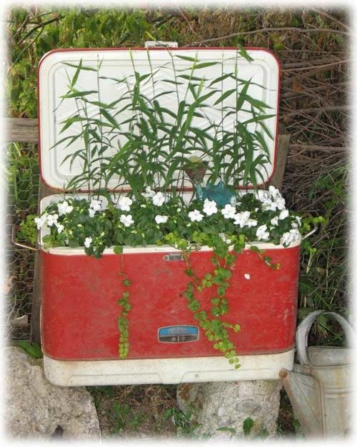 Old cooler turned planter.