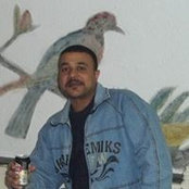محمد حسانين's photo
