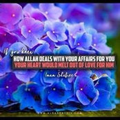 Mohsin Sulehari's photo