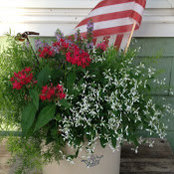 Sue Johnson's photo