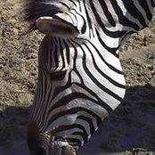 Photo de Achab Camping Namibia