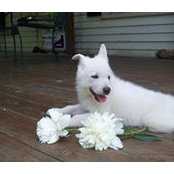 Billie Olund's photo