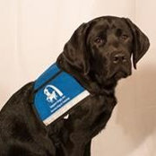 Nancy Groth's photo