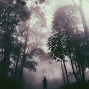 Nguyen Thanh Luan's photo