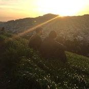 Nicholas Lopez's photo