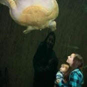 Abbey Robinson's photo