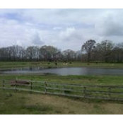 Doyle Rains Jr's photo