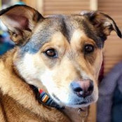 Sandra Walter's photo