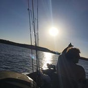 Jerome Curtis's photo