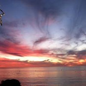 Roy Litman's photo