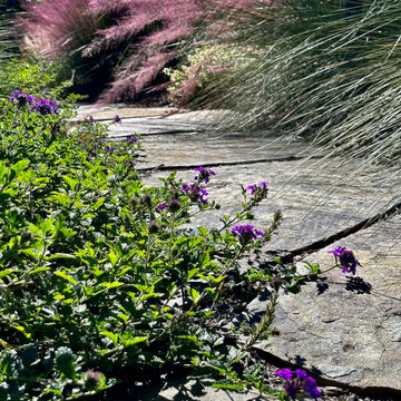 Concrete Sidewalk Becomes A Stroll Garden