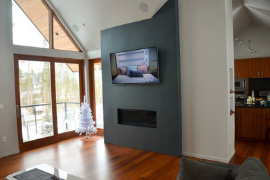 Mid-sized trendy open concept and formal medium tone wood floor and brown floor living room photo in Denver with a wall-mounted tv, white walls, a ribbon fireplace and a plaster fireplace