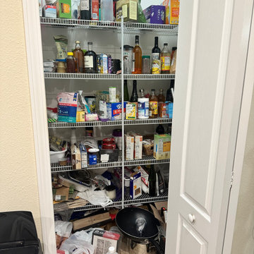 Pantry Organization — Wesley Chapel, FL