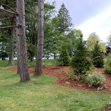 Instant Forest in Wisconsin