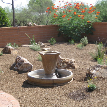 Simple, easy care backyard