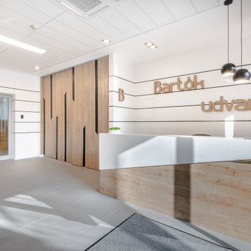 Reception - Bartok udvar Budapest