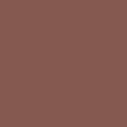 Canyon Clay - Paint