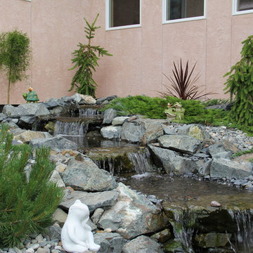 Water Features