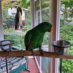 Tongue & Groove Parrot Porch - Home Decor